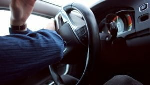 saobraćajne-nezgode-sa-psom